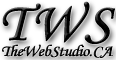 The Web Studio Group